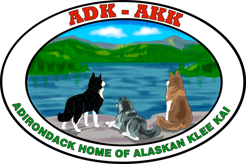 Adirondack Home of Alaskan Klee Kai